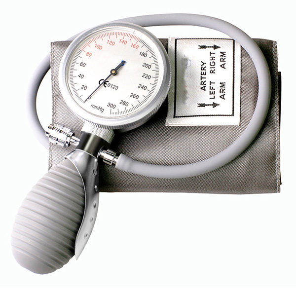 201Q1 Plam sfygmomanometer